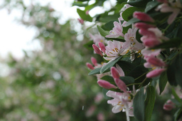 Similar image 20160288