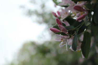 Similar image 20160289