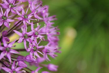 Similar image 20160291