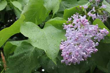 Similar image 20160310