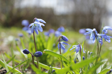 Similar image 20160329