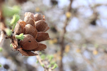 Similar image 20160305