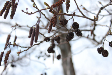 Similar image 20160307