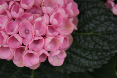 Similar image 20160308