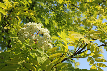 Similar image 20160317