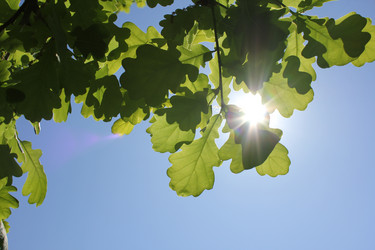 Similar image 20160327