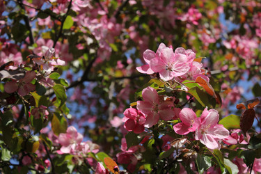 Similar image 20160340