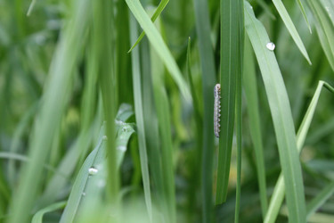 Similar image 20160351