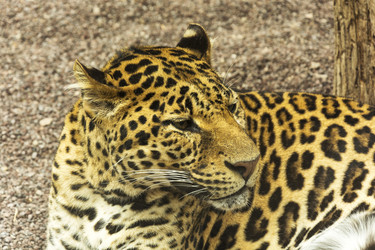 Similar image 20160182