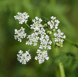 Similar image 20160085