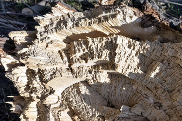 Similar image 20160091