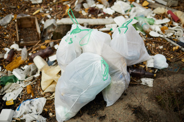 Similar image 20159835