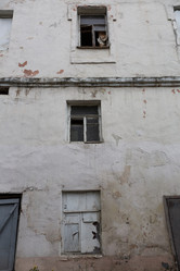 Similar image 20160530