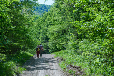 Similar image 20160123