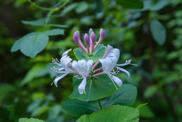 Similar image 20160107