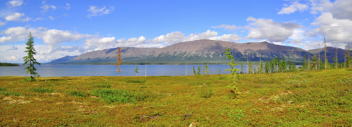 Similar image 20193529