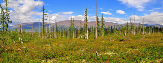 Similar image 20193541