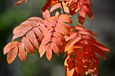 Similar image 20193861