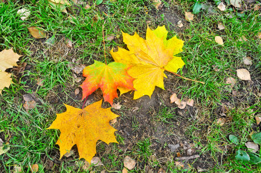 Similar image 20193877