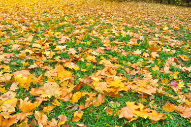 Similar image 20193881