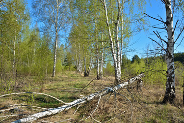 Similar image 20193894