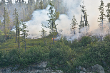 Similar image 20193895