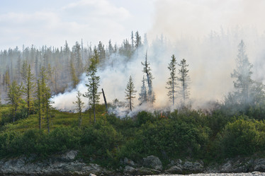 Similar image 20193900