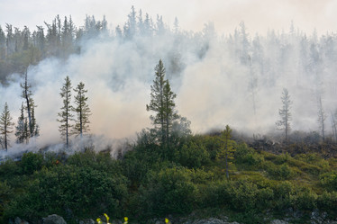 Similar image 20193904