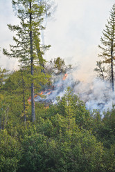 Similar image 20193908