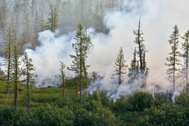 Similar image 20193909