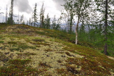 Similar image 20193976