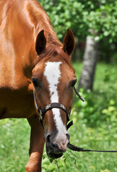 Similar image 20193934