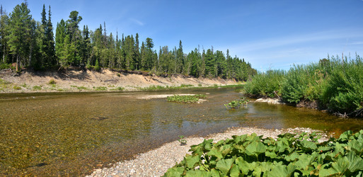 Similar image 20193944