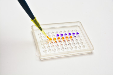 Similar image 20193946