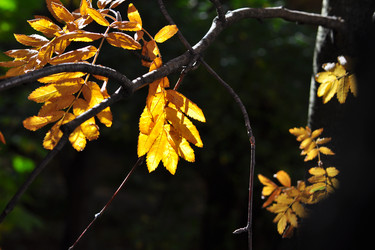 Similar image 20193959