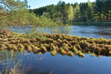 Similar image 20193992