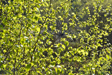 Similar image 20193997