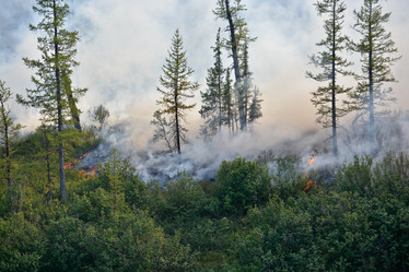 Similar image 20193999