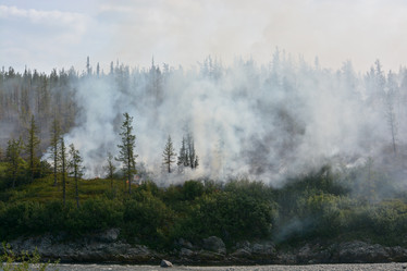 Similar image 20194001