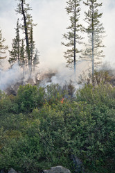 Similar image 20194007