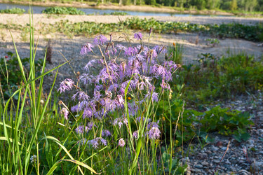 Similar image 20194017