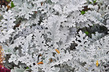 Similar image 20194025