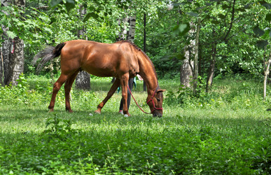 Similar image 20194041