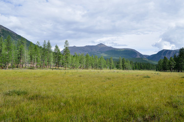 Similar image 20194069