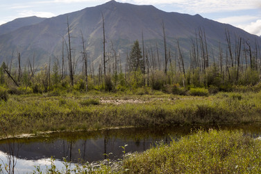 Similar image 20194074