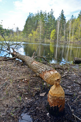 Similar image 20193532