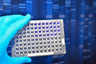 Similar image 20193884