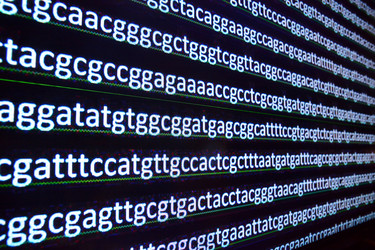 Similar image 20193885