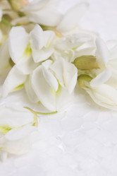 Similar image 20193211