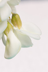 Similar image 20193213